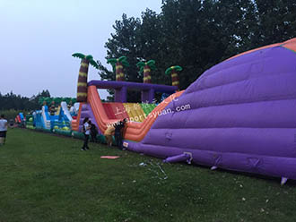 IM体育