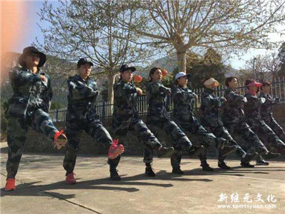 IM体育