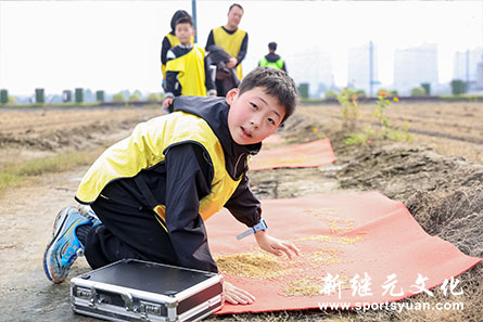 IM体育